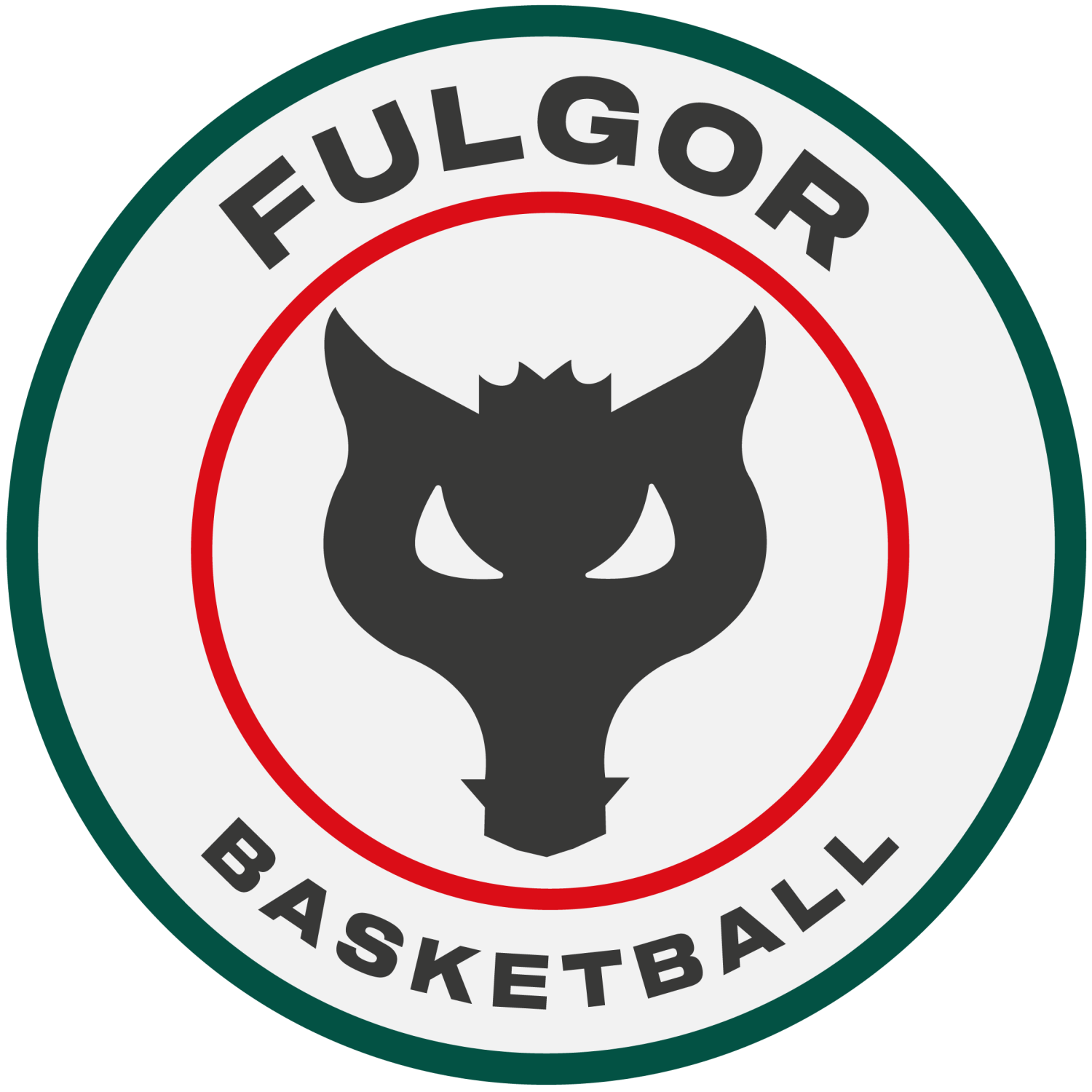 Paffoni Fulgor Basket Omegna